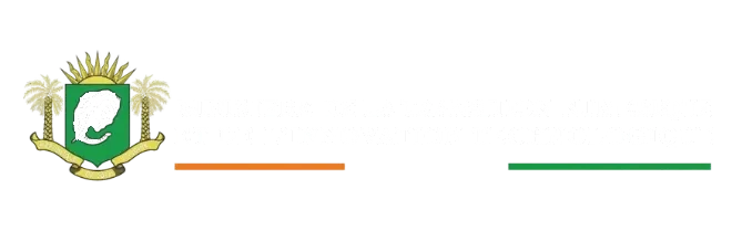 Ministère de la Transition Numérique et de l'Innovation Technologique